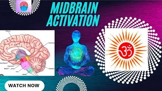 OM Midbrain Activation Jorhat Centre  Super Result in short period  Arnab amp Gauranga [upl. by Cirala53]