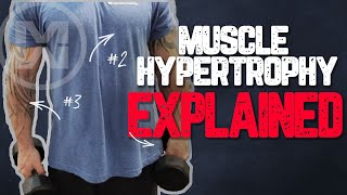 Muscle Hypertrophy Explained How to get MASSIVE Gains [upl. by Saidee]