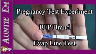 Pregnancy Test Experiment  Evap Line Test  BFP Brand [upl. by Chew628]