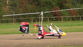 Rotorwings AutoGyro RED BULL HUGE RC SCALE MODEL Flugshow Hausen 2016 [upl. by Chemush]