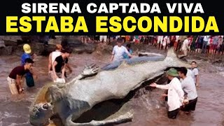 Descubrieron Una Sirena En Una Playa Lo Que Sucedió Después CONMOCIONÓ Al Mundo Entero [upl. by Elocon600]