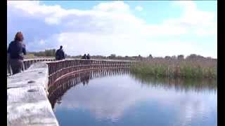 El Parque Nacional de las Tablas de Daimiel amplía su superficie [upl. by Yetty347]