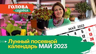 Голова садовая  Лунный посевной календарь МАЙ 2023 [upl. by Gardas644]