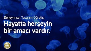 Deneyimsel Tasarım Öğretisi  Amaçsız hayat olur mu [upl. by Rasla57]