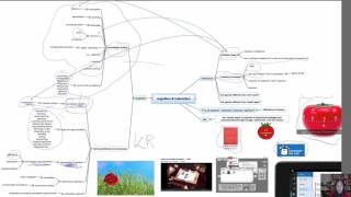 Overview Interaction and Cognition 2213 HCI [upl. by Idet]