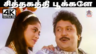 Sithagathi Pookale Song SPB KSசித்ரா பாடிய பாடல் சித்தகத்தி பூக்களே [upl. by Speroni]