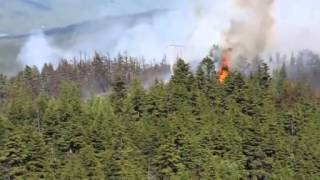 Alaska Army National Guard Black Hawk Crews Help Fight Alaska Fires [upl. by Ymar]