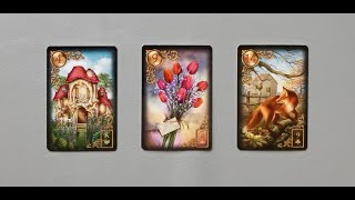 tarot chọn tụ bài tình yêu còn bao xa [upl. by Tenneb208]