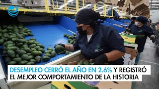 Desempleo cerró el año en 26 y registró el mejor comportamiento de la historia [upl. by Lorilyn133]