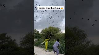 Farmer bird hunting😱birds birdhunting hunting shorts viralshorts youtubeshorts trendingshort [upl. by Fitzpatrick]