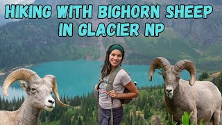 GLACIER NATIONAL PARK  Exploring Two Medicine and Grinnell Glacier [upl. by Bethena]