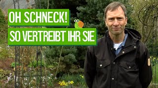 Pflanzen erfolgreich vor Schnecken schützen  Der Grüne Tipp kompakt [upl. by Dikmen907]