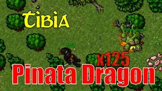 Tibia  125 Piñata Dragon  Co wyleciało  125 Piñata Dragon LOOT [upl. by Nylla873]