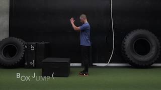 Box Jump Countermovement [upl. by Florenza84]