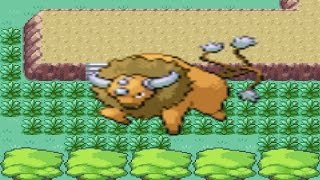 How to find Tauros in Pokemon Fire Red and Leaf Green [upl. by Tomchay]