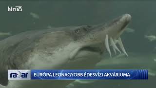 Radar  Európa legnagyobb édesvízi akváriuma 20240409  HÍR TV [upl. by Amalea]