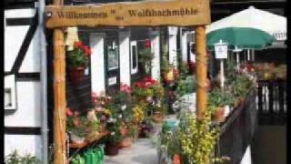 Urlaub im Oberharz im Waldgasthaus Wolfsbachmühle  90 GRAD die Band [upl. by Sucramrej]