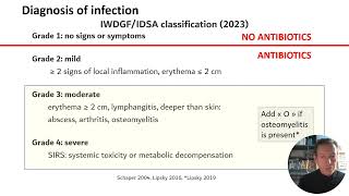 IWGDFIDSA Infection Guideline [upl. by Naujyt]