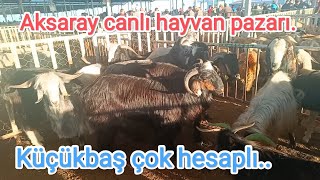 30 Temmuz salı 2024 Aksaray canlı hayvan pazarı goats and sheep market [upl. by Nwahs]