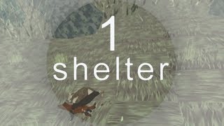 Shelter First Look  Preview Gameplay  Part 1 [upl. by Kaasi803]