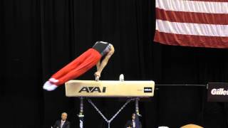 Favian Valdez  Pommel Horse  2015 PampG Championships  Jr Men Day 2 [upl. by Nilo]