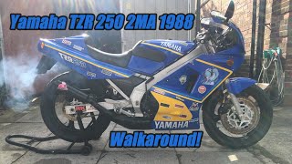 Yamaha TZR 250 2MA 1988 Walkaround [upl. by Wadlinger]