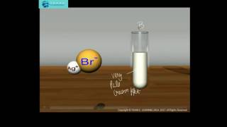 Test for Halide Ions  3D animation Ppt formation at SURFACE and ATOMIC LEVEL [upl. by Fenelia717]