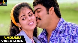 Naa Alludu Songs  Nadumu Chooste Video Song  JrNTR Genelia  Sri Balaji Video [upl. by Jarek42]