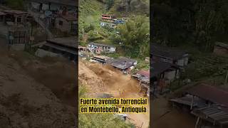 Avenida torrencial en Montebello Antioquia destruyó 30 viviendas [upl. by Troxell]