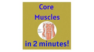 Core Muscles in under 2 mins [upl. by Nehgem]