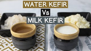 Water Kefir Vs Milk Kefir Using Kefir Grains Not Powders [upl. by Aphra]