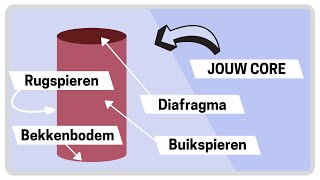 Core stability oefeningen voor je buik en rugspieren  Hoe werkt je core [upl. by Ecyle]