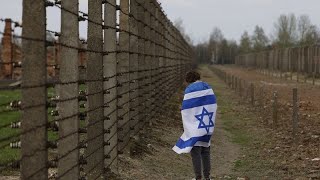 quotMarsch der Lebendenquot Israel gedenkt der Opfer des Holocaust [upl. by Anyt]