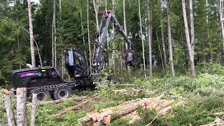 Demo in Sweden with Logset 8H GTE Hybrid and TH55 33 [upl. by Adnorrehs]