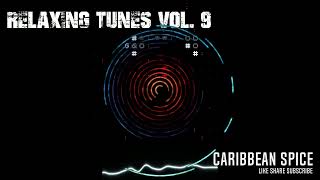 Caribbean Spice  Relaxing Tunes Vol 9 [upl. by Aynatan]