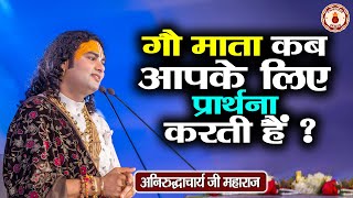 गौ माता कब आपके लिए प्रार्थना करती है  Aniruddhacharya Ji Maharaj  Sanatan Vachan  Pravachan [upl. by Senalda]