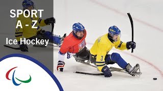 Para Ice Hockey Sports of the Paralympic Winter Games [upl. by Jodee188]