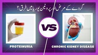 Explaining CKD And Proteinuria How They Affect Your Kidneys Ep112  AwaisZakacom [upl. by Horst]