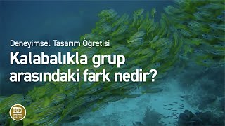 Deneyimsel Tasarım Öğretisi  Grup olmadan başarılı olunur mu [upl. by Patten]