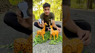 Rc Remote Control Two Giraffe 🦒 vs Deer ki testing 😜 [upl. by Cyrilla]