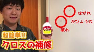 【超簡単】プロが教えるクロスの補修 壁紙の破れ はがれ がびょうの穴 [upl. by Ap258]