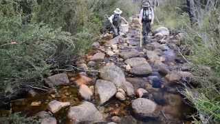 Backpack Electrofishing in the Australian Capital Territory [upl. by Etak]