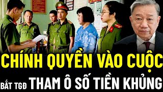 TBT TÔ LÂM LÀM SẠCH BỘ MÁY CÔNG AN VÀO CUỘC BẮT KHẨN CẤP TGĐ THAM Ô SỐ TIỀN KHỦNG [upl. by Llennahc]