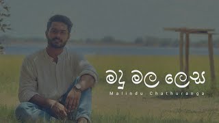 Madu Mala lesa  මදු මල ලෙස  Voice Of WhoIsMalindu [upl. by Aneehsal]