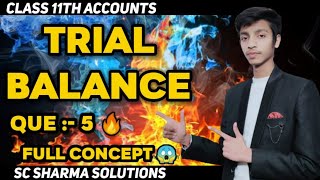 Que5 TRIAL BALANCE  class 11th accounts trial balance questions  trial balance practical questions [upl. by Charlie]