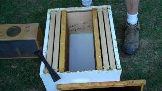 Another way to Install a package of Honey bees in your hive [upl. by Neisa862]