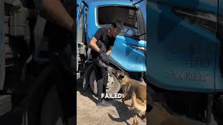 The Puppy Stuck in tire of the truck shorts [upl. by Wera]