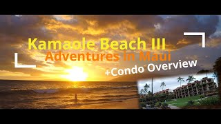 Save Your  amp Stay in Kihei  KAMAOLE BEACH III  Condo Overview  Adventures in Maui [upl. by Lessig]