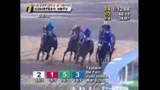 Zenyatta Greatest Race Horse Of All Time Montage  All 19 Wins [upl. by Hguh631]