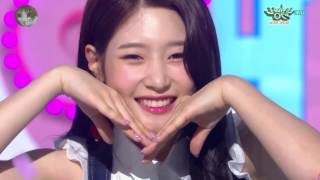 DIA 다이아  Will You Go Out With Me 나랑 사귈래 Stage Mix 교차편집 [upl. by Wilek]